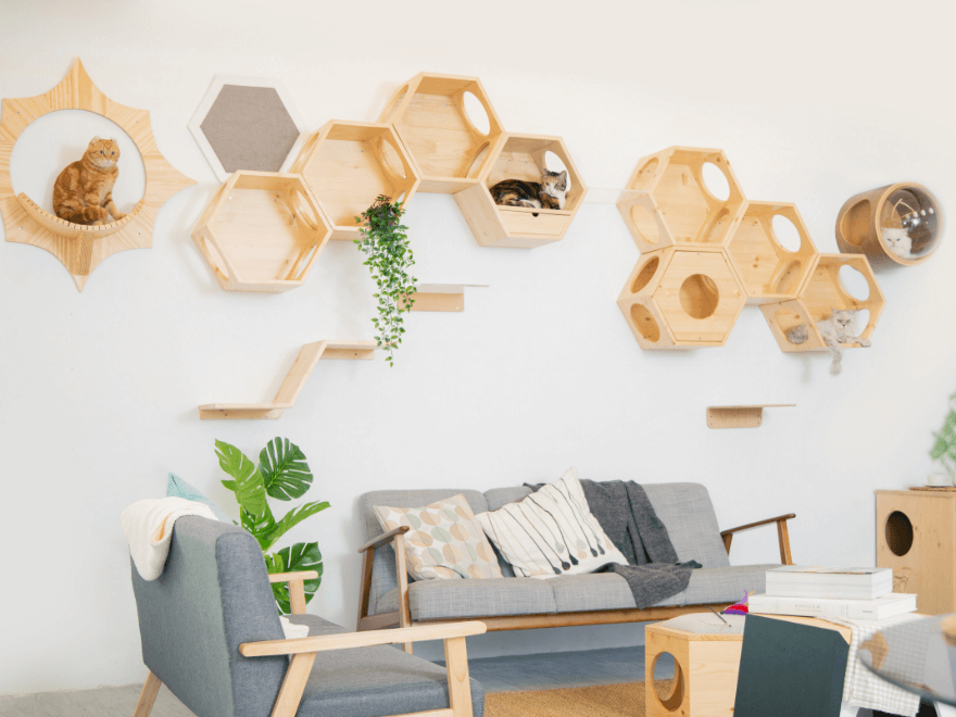 キャットステップ